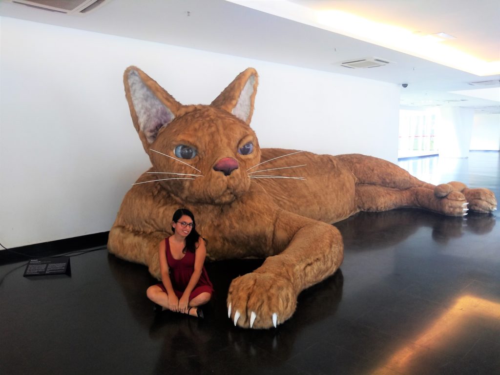 El gato de ronronea - Nina Pandolfo  en el museo de arte contemporáno de sao paulo